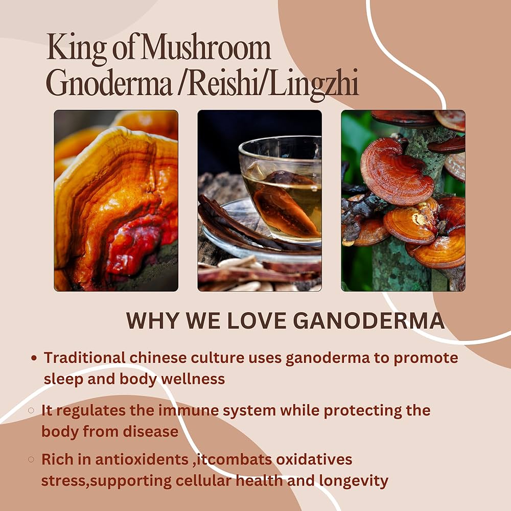 Ganoderma—The King of Herbs