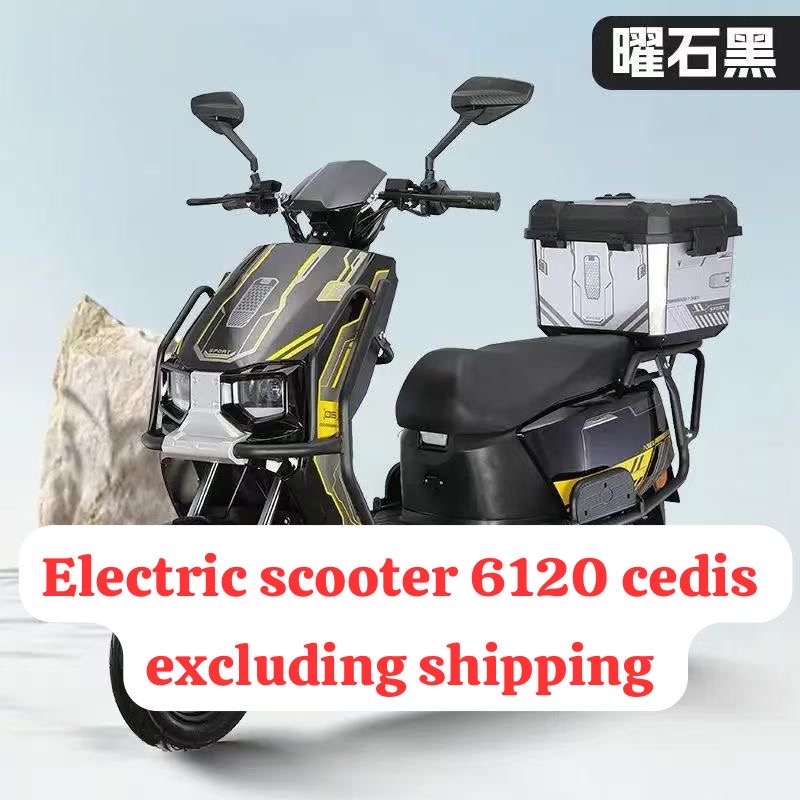 ELECTRIC SCOOTER