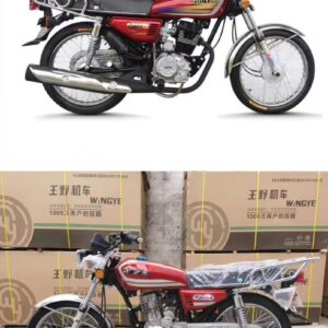 CLASSIC STYLE COMMUTER BIKE